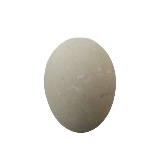 Balut 16-Day Duck Egg
