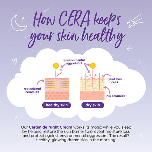 Human Nature Ceramide Skin-Renewing Night Cream 100ml