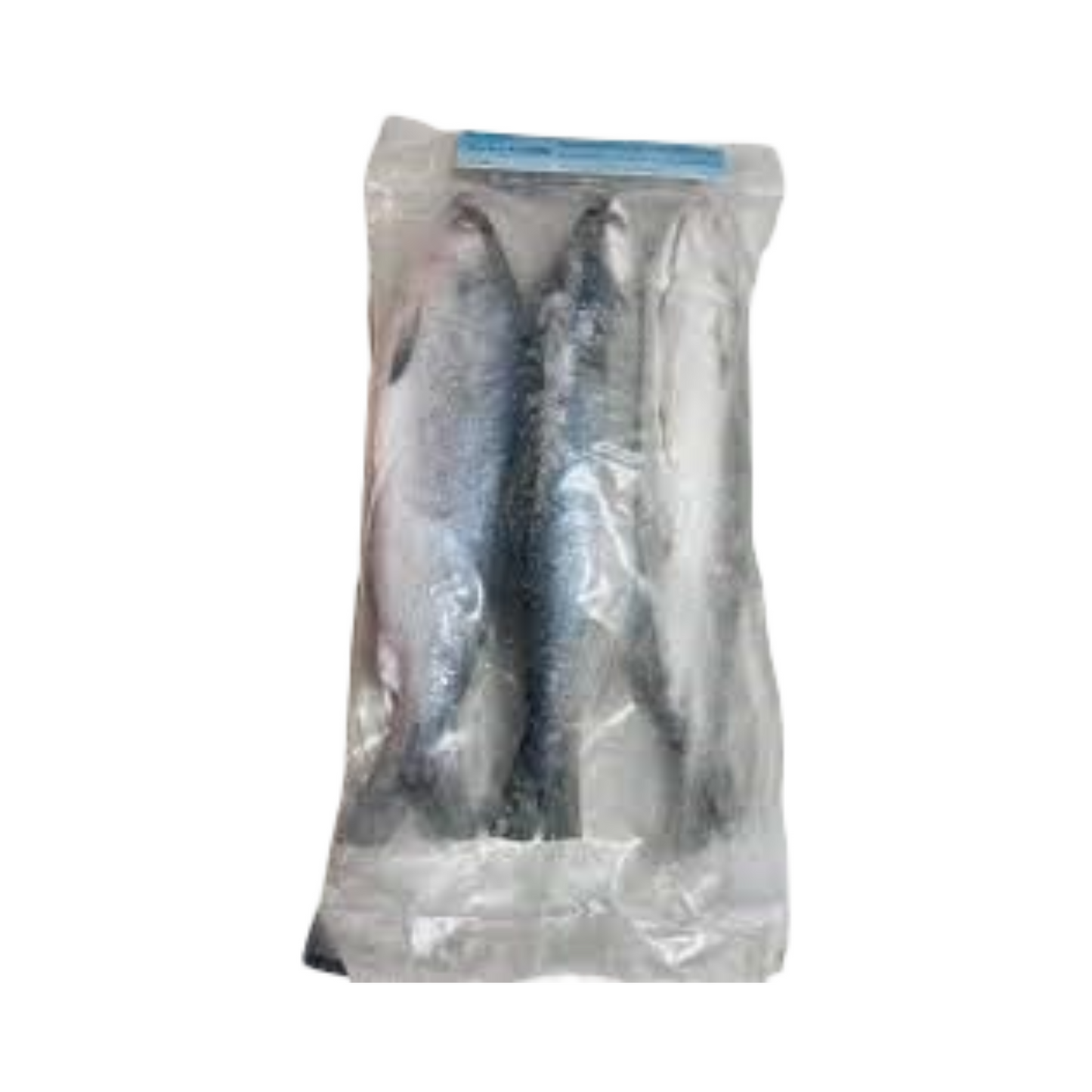 Frozen Anjo Farms Milkfish Whole Gilled & Gutted 1kg